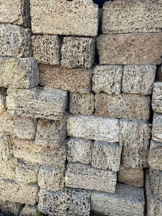 Ракушняк кримський новий