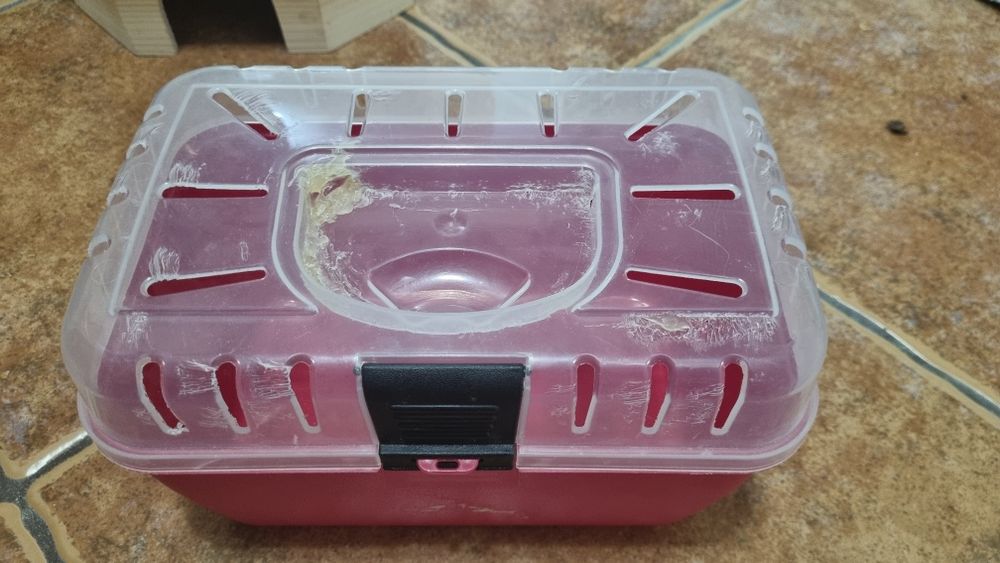 Transporter twister dla gryzoni