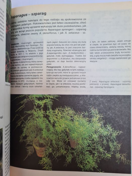 Mieszkamy wśród kwiatów - Książka