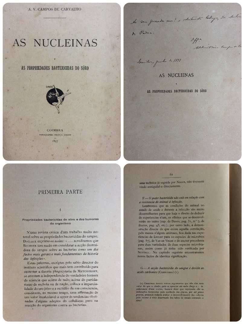 Livros com dedicatórias manuscritas pelos seus autores. Lote 2
