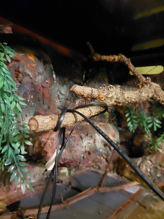 Bebedouro Exoterra XL