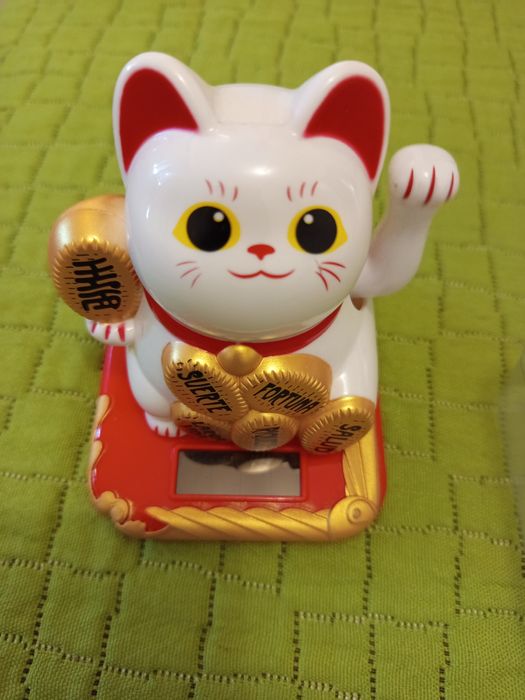 Gato da prosperidade novo.