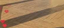 Cerrad giornata oro 11X60 Gat.1
