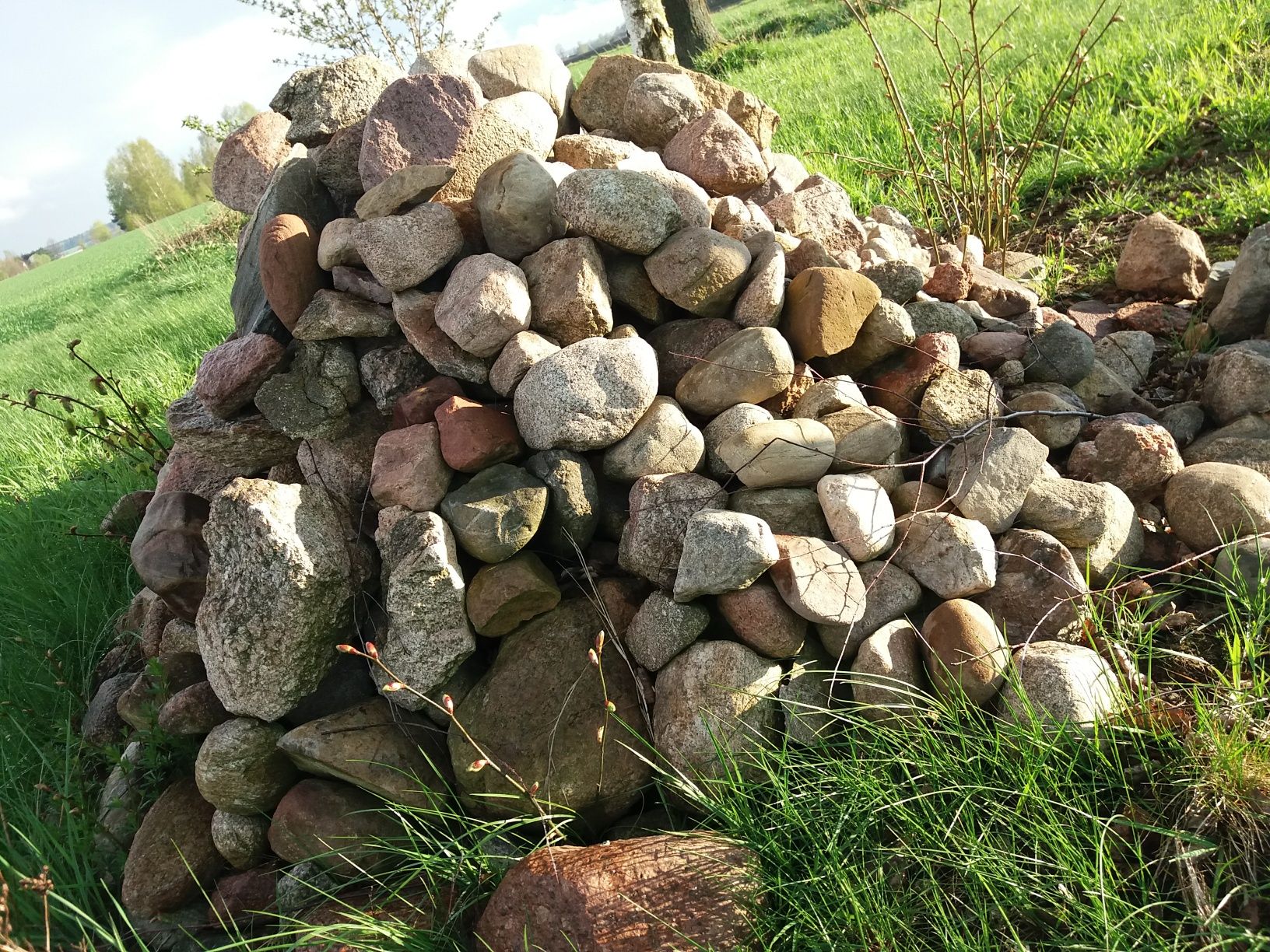 Kamienie skalniak polne granitowe otoczaki