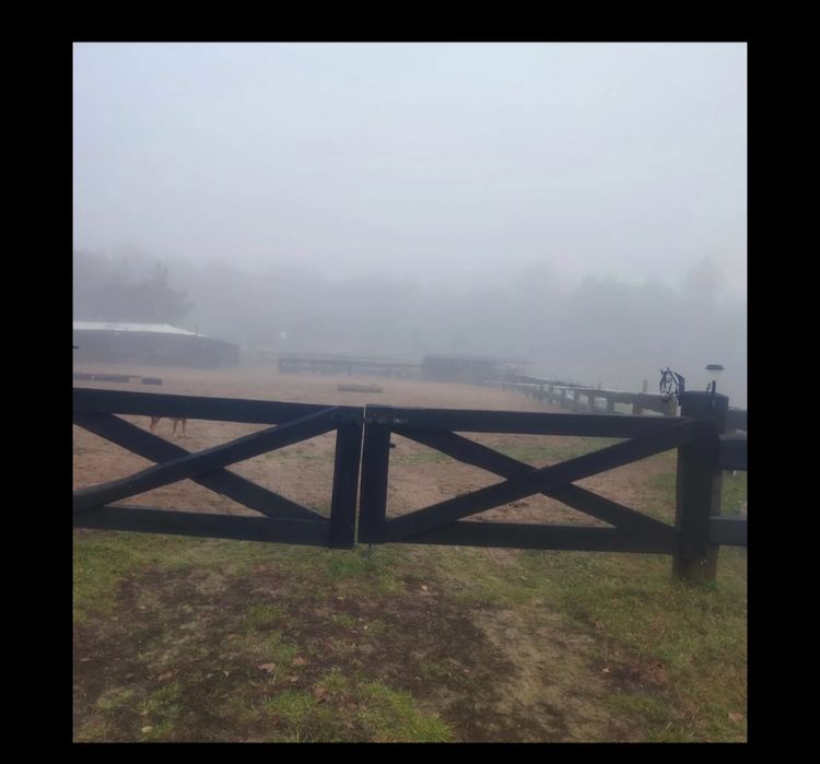 Hotel dla konia ,stajnia wolnowybiegowa