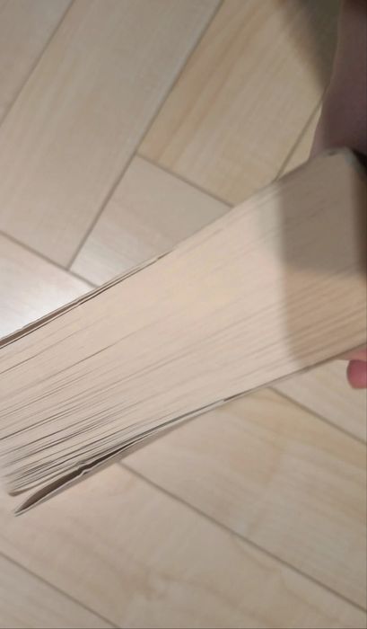 ,,Nasz ostatni dzień" Adam Silvera