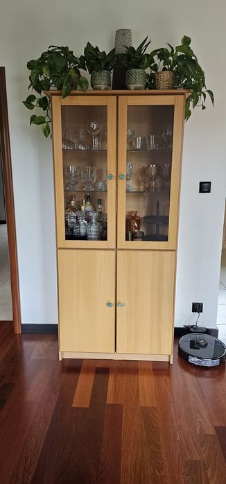 Witryna w rozmiarach 82x183x42