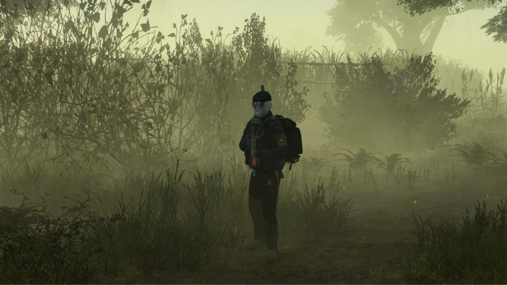 Продаю игровой сервер DayZ STALKER RP