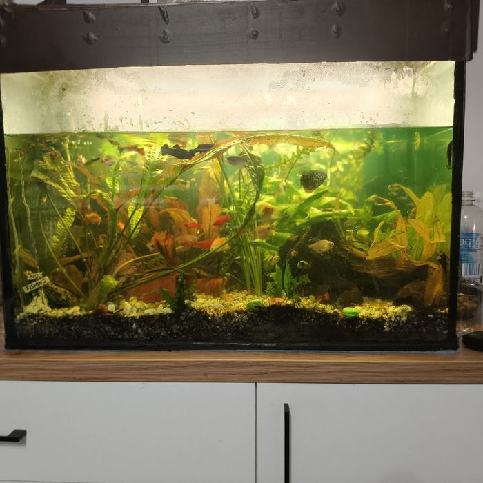 Sprzedam akwarium 160l.