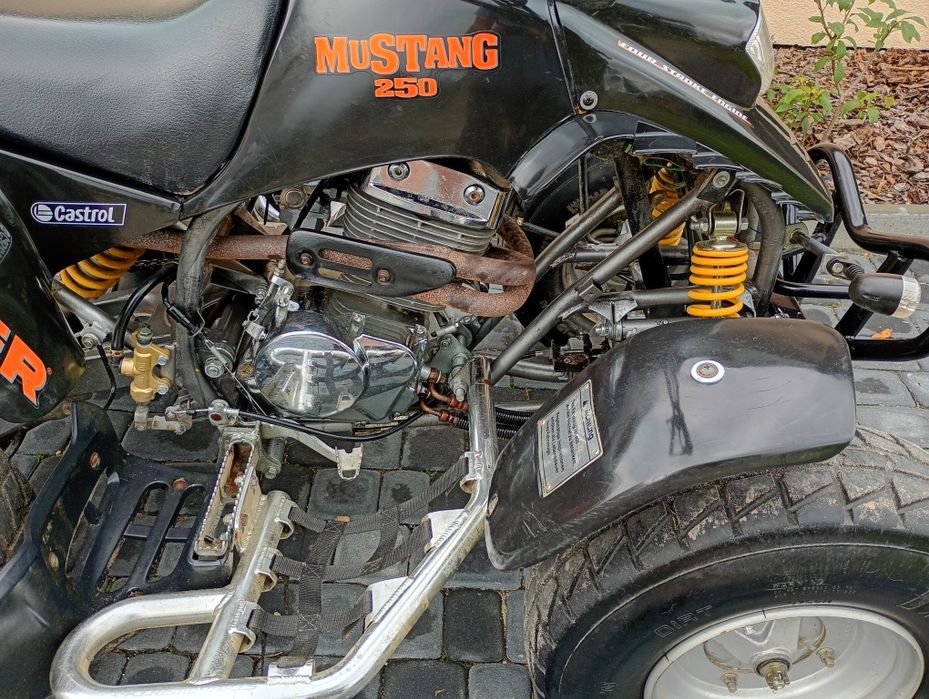 Quad Honda Barossa 250 homologacja dwa gaźniki