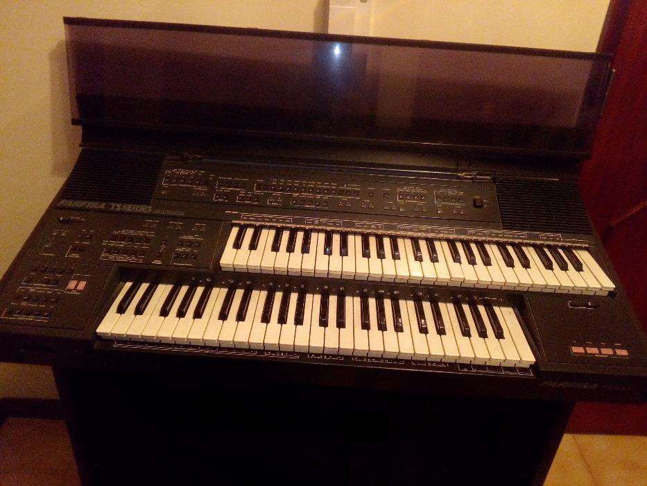 órgão farfisa ts 800