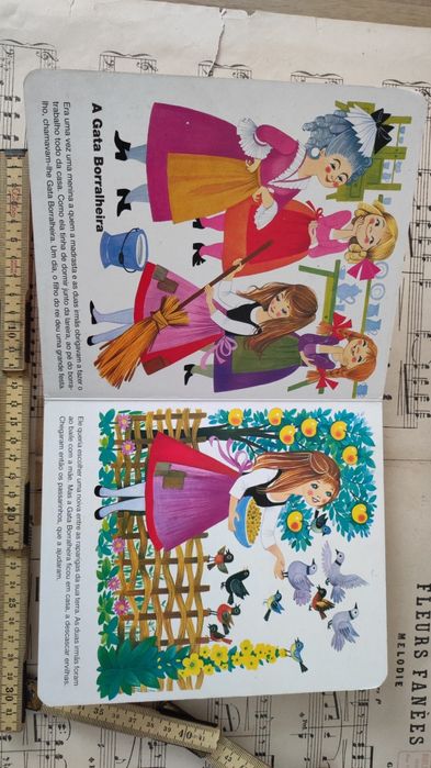 Livro A Gata Borralheira Antigo