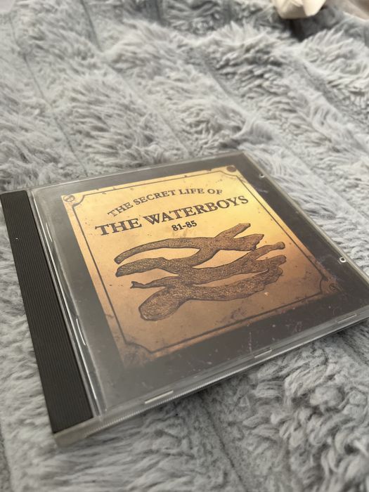 The Waterboys – The Secret Life of The Waterboys 81–85 (1994)