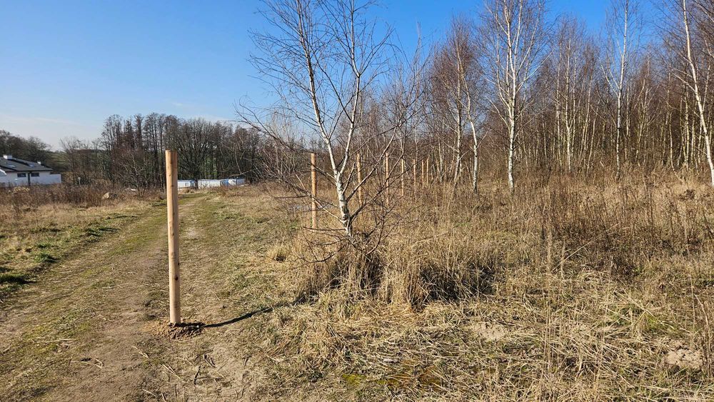 Ogrodzenia z sitaki leśnej, ogrodzenia tymczasowe, siatka leśna.