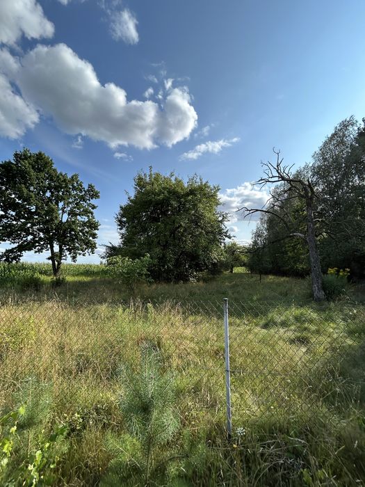 Spokój, las i własne siedlisko na wsi – lubelskie