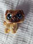Lps 623 mops Little pet shop