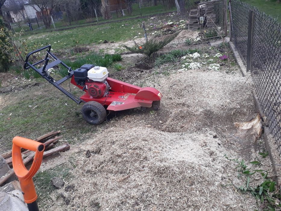 Glebogryzarka CEDRUS GLX540 WYNAJEM