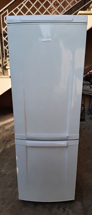 Продам холодильник з морозильною камерою  Electrolux в м.Хуст