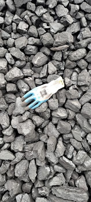 Węgiel Kamienny Orzech