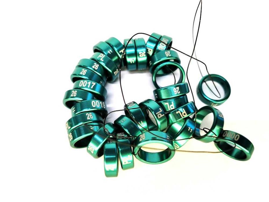 Obrączki aluminiowe dla papug 2026 zielone, obrączki stałe, rodowe