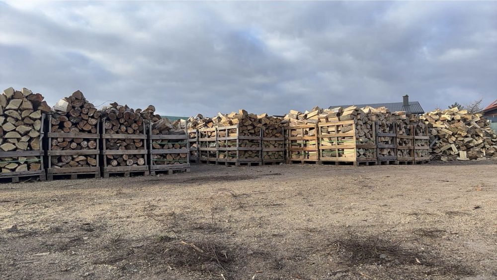 Drewno kominkowe SUCHE drzewo buk/grab/dąb/sosna/brzoza/akacja