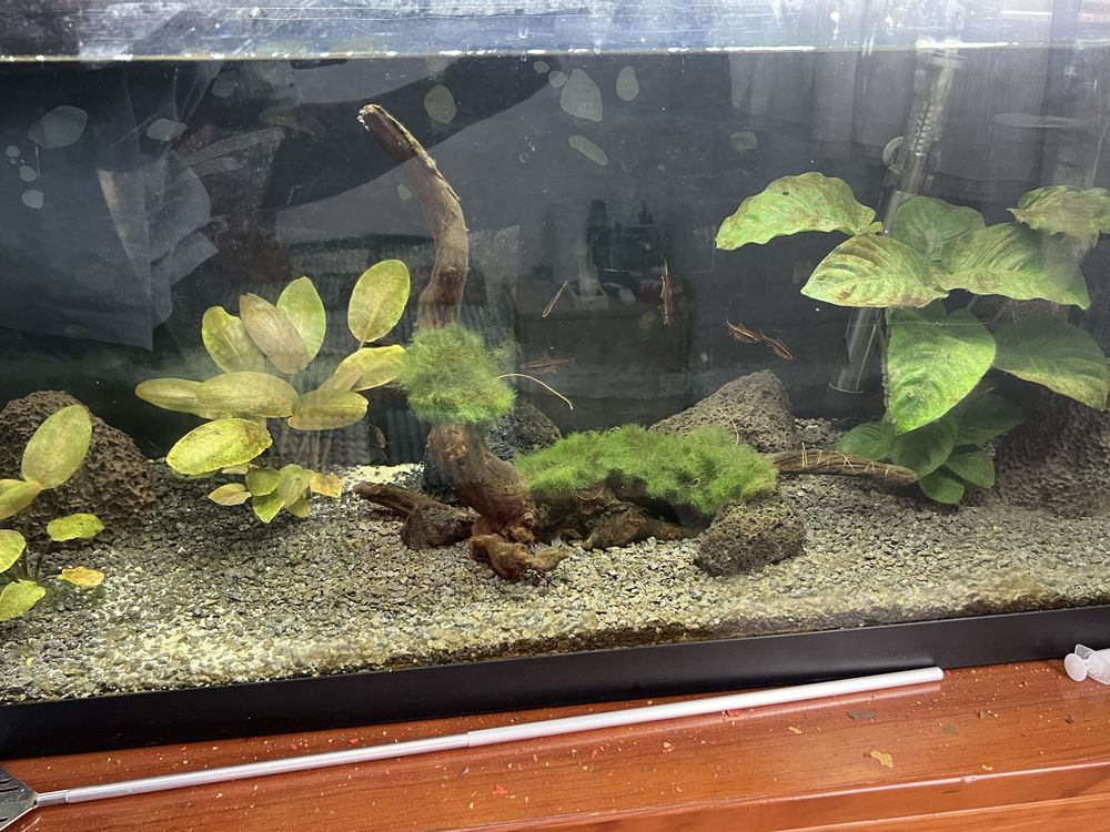 Acessorios para aquario