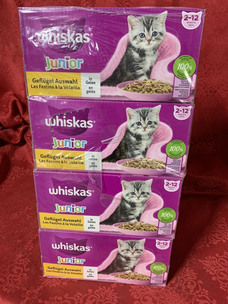 Megapakiet Whiskas Junior w saszetkach, 48 x 85 g(nr41)