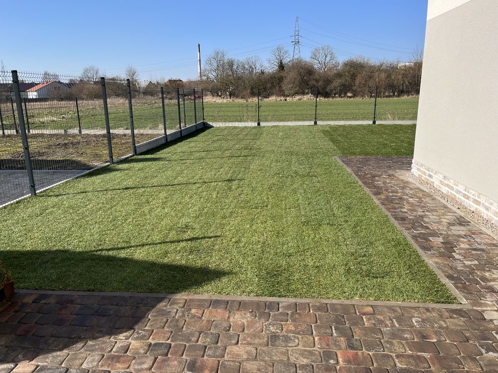 Trawa w rolce, trawa z rolki, 40m2 z dostawą pod sam dom