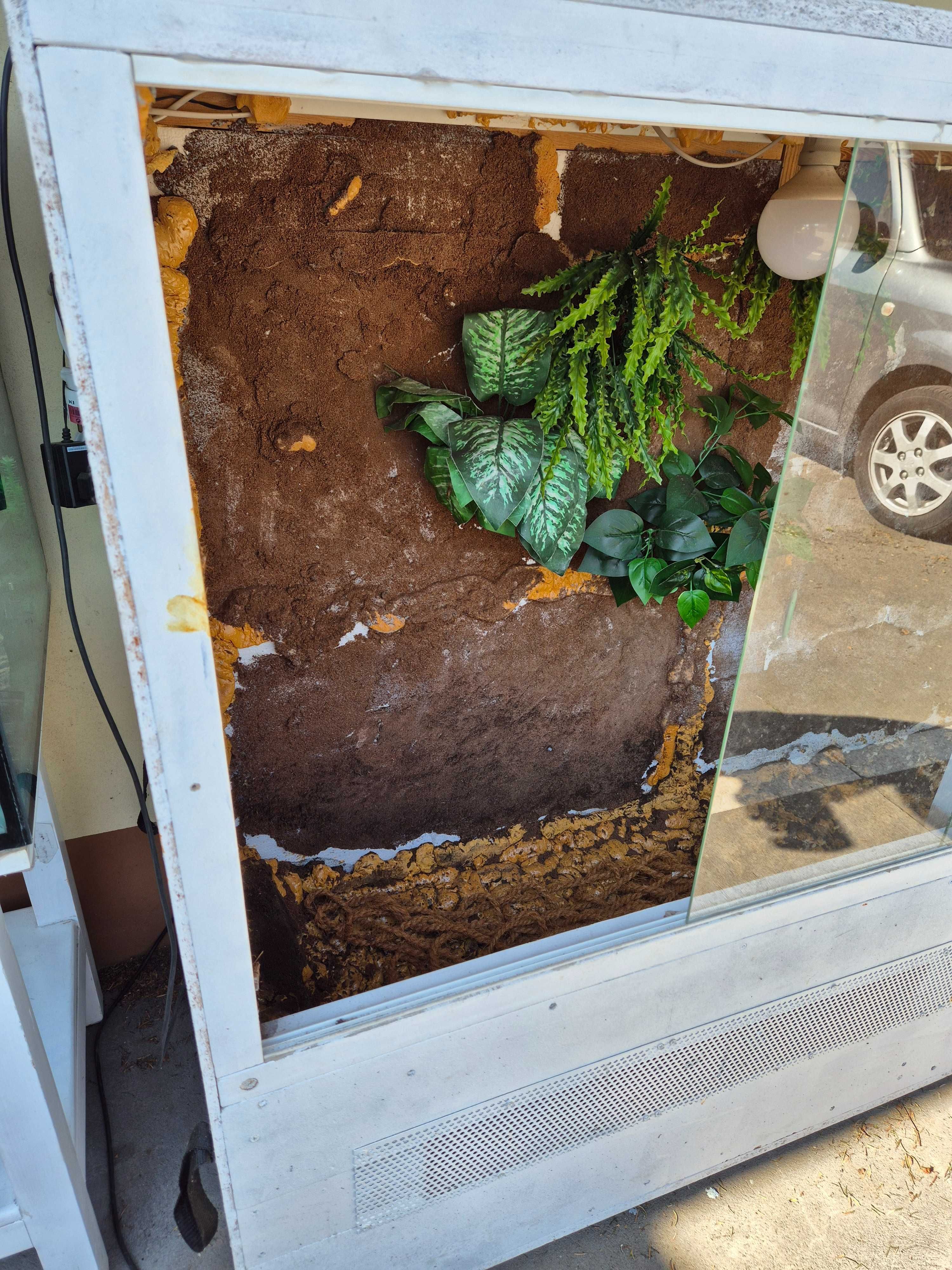 Terrarium dla gadów