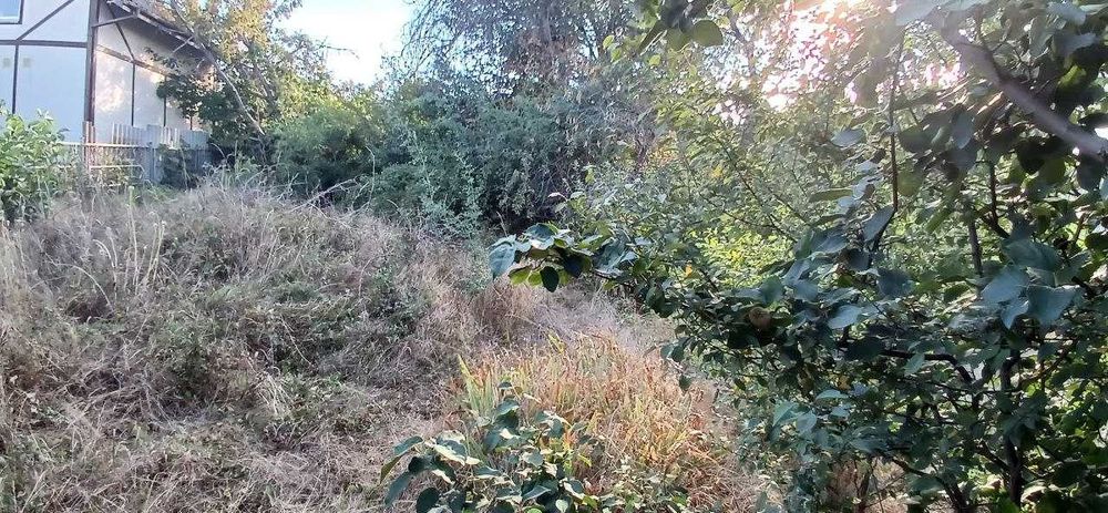 Продам земельный участок в с. Великодолинское