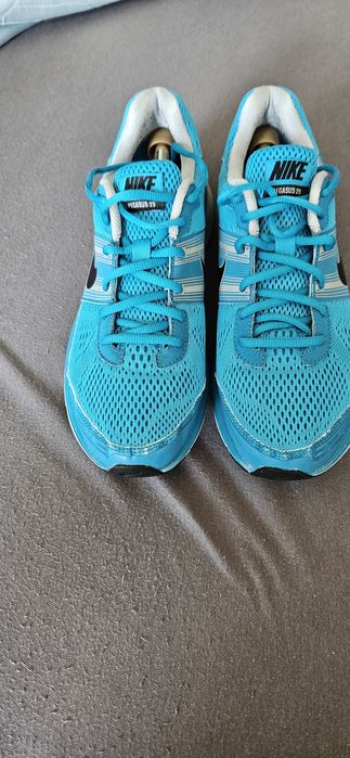 Nike Zoom Pegasus 29
