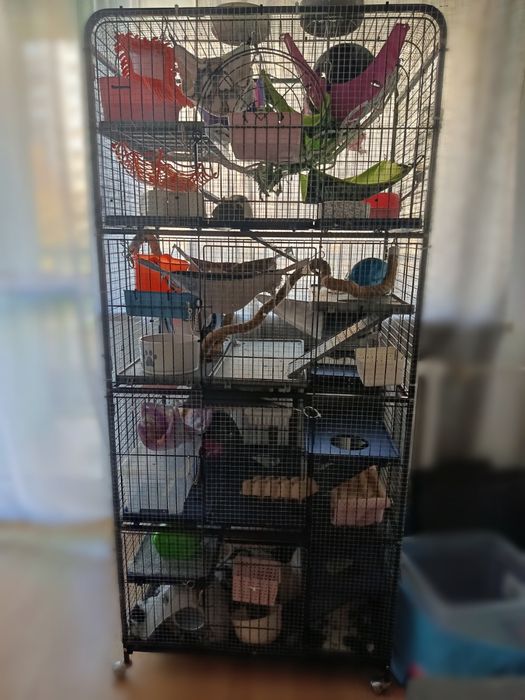 Klatka Perfect Maxi + moduł