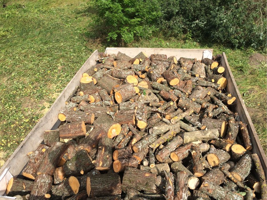 Продам дрова в кузові 8 кубів / Машина дров Дуб Клинок верба кленок