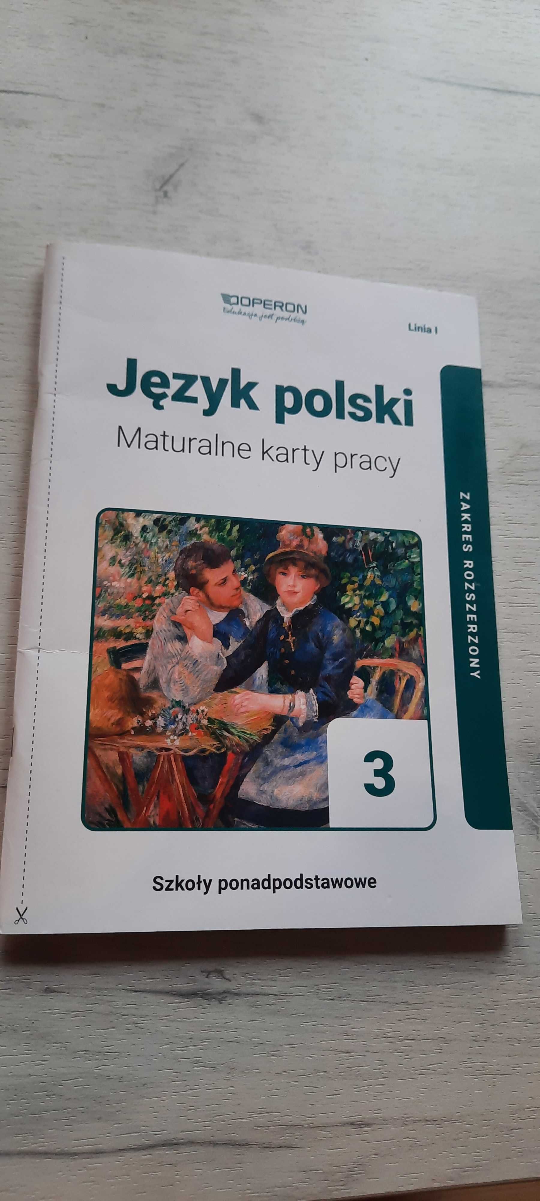 Język polski 3. Maturalne karty pracy. Zakres rozszerzony