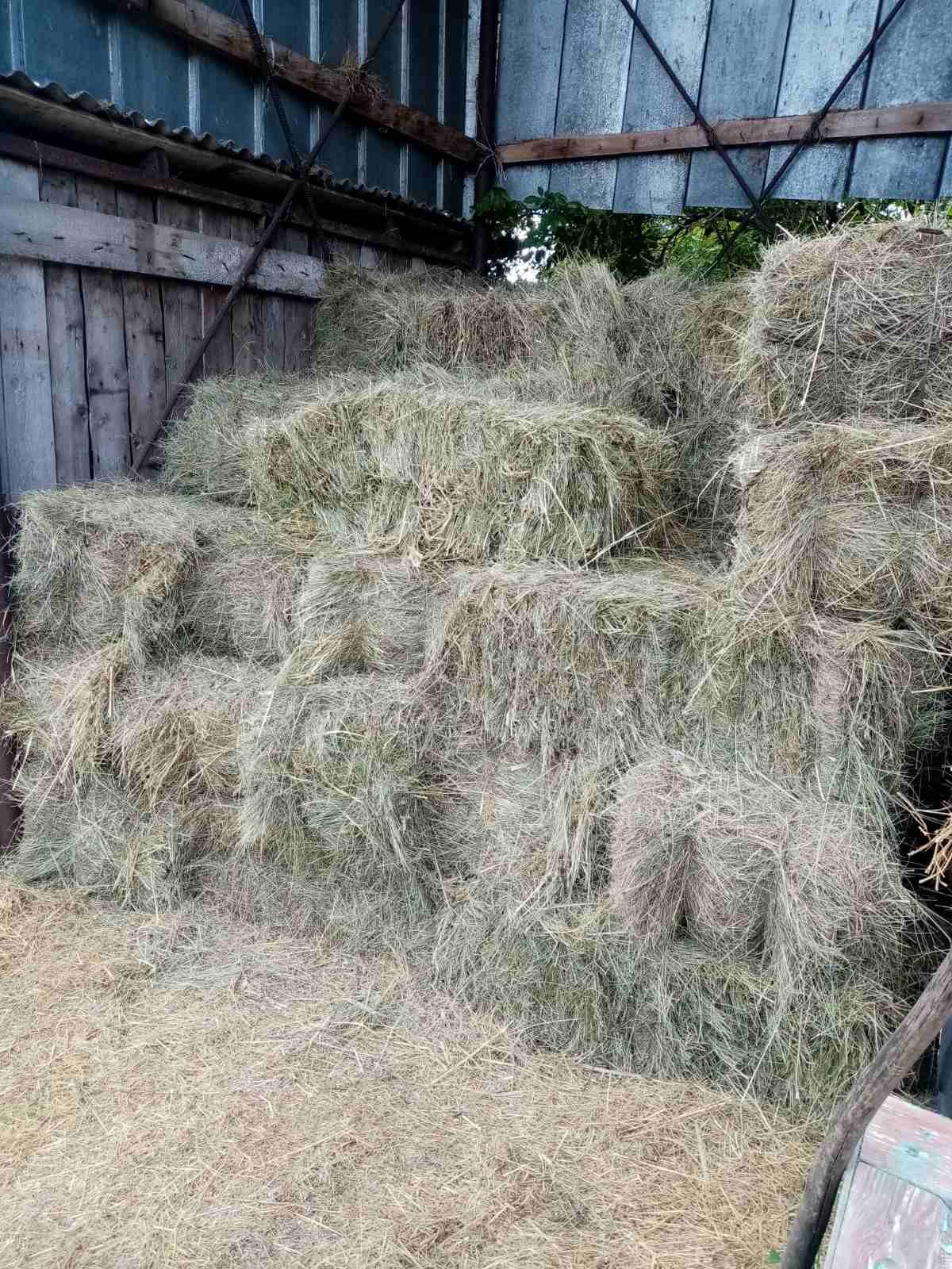 Продам сіно в тюках