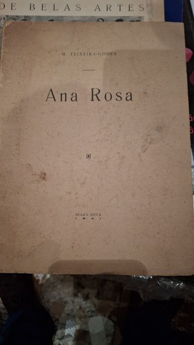 M Teixeira gomes Ana Rosa 1941 novela erótica