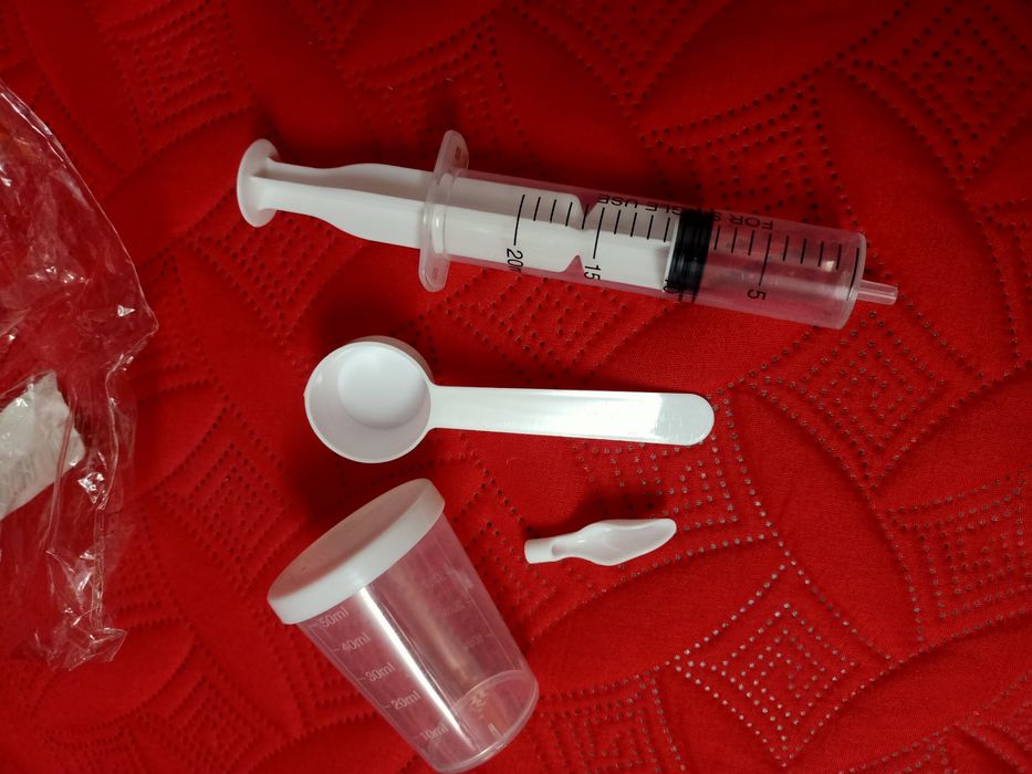 Pássaro aves animais criações