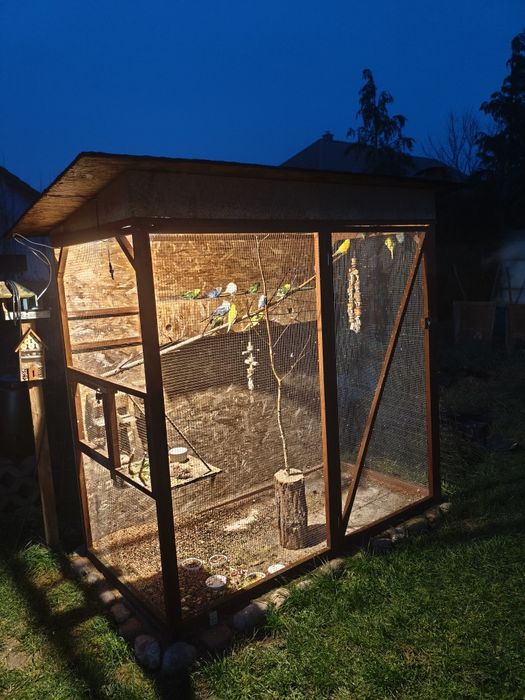 Woliera zewnętrzna