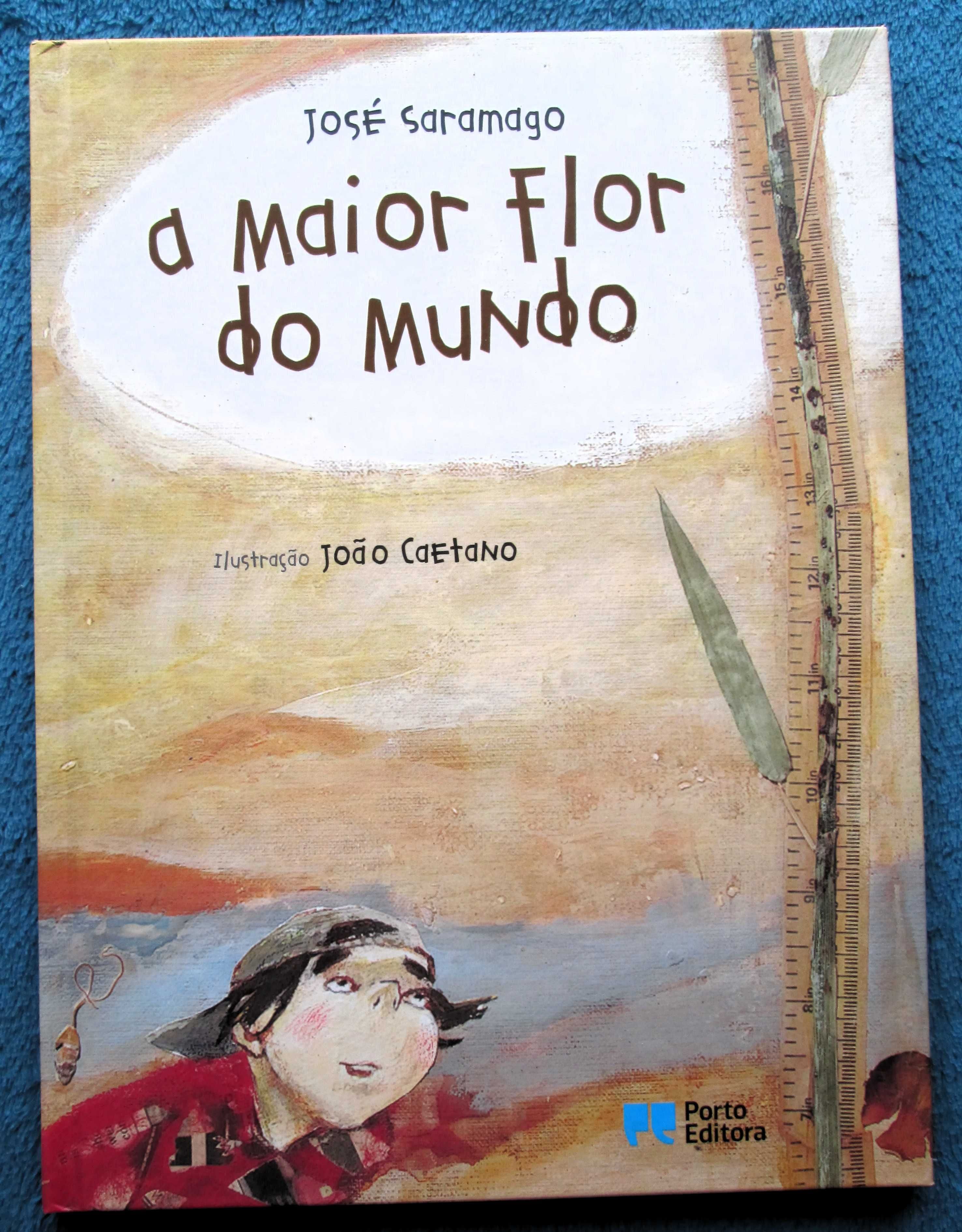 Metas curriculares e Plano nacional de Leitura