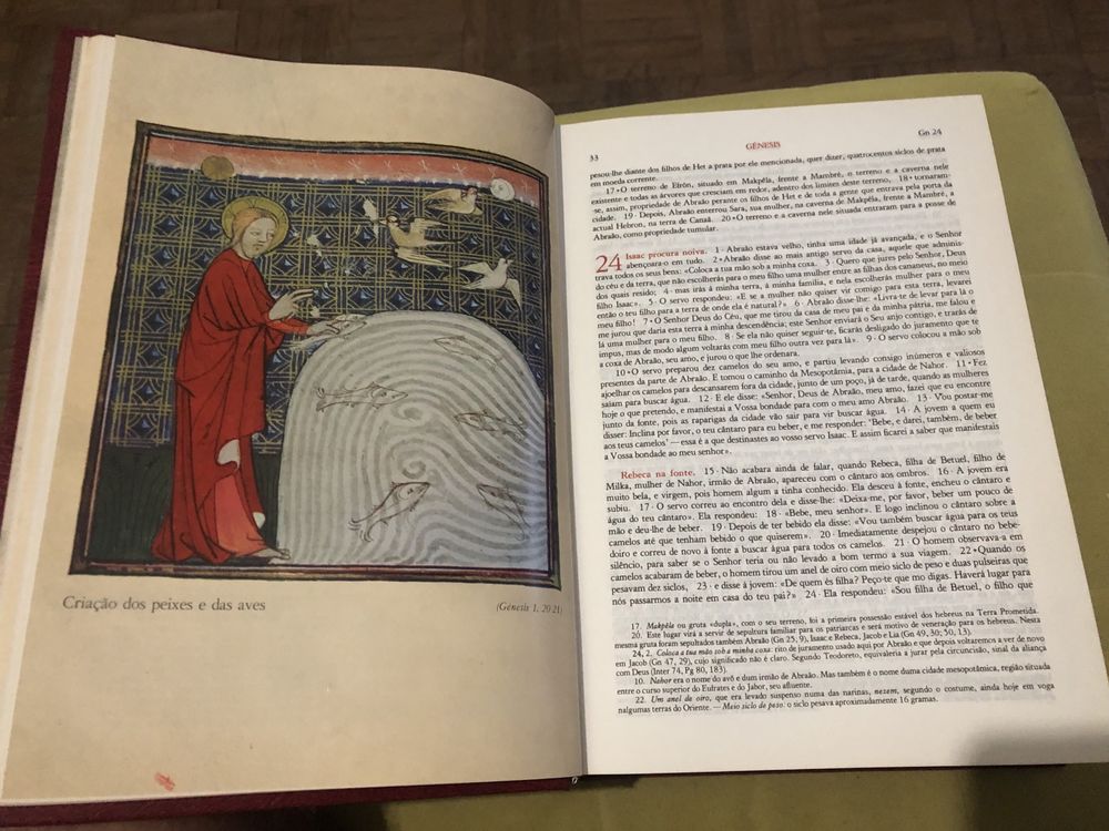 Biblia Sagrada - Editora Verbo