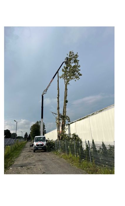 Podnośnik koszowy zwyżka  24,5m wynajem 24h wycinka drzew usługi