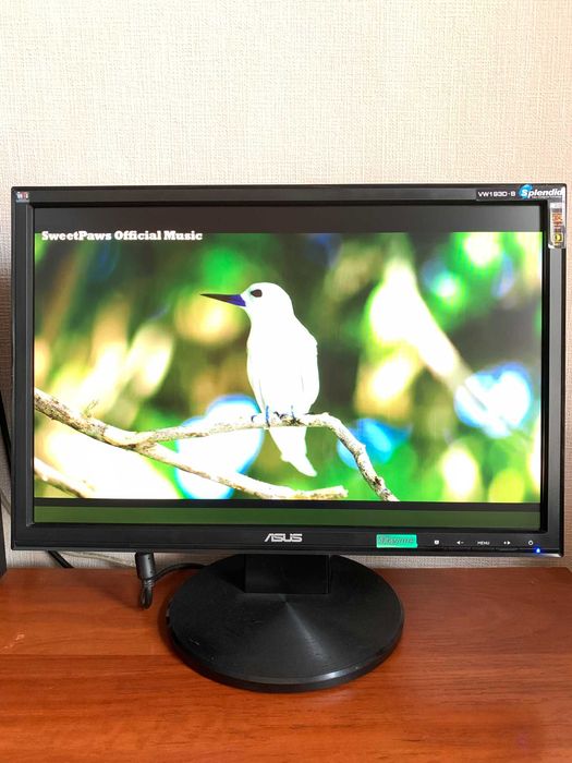 Системний блок Delux + Монітор Asus 19" для навчання та офісної роботи