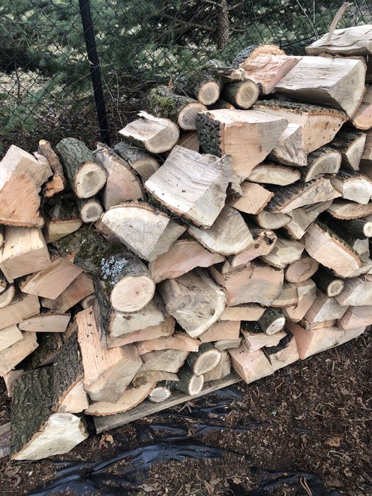 drewno opałowe kominkowe  Buk