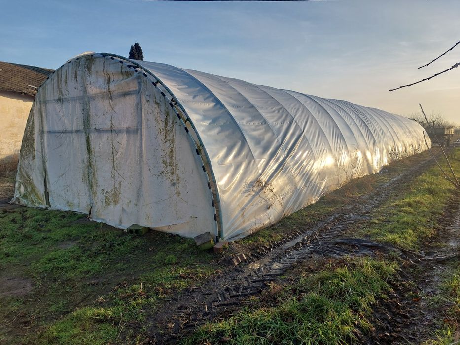 Tunel foliowy 6x30 konstrukcja