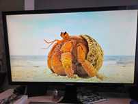Monitor Samsung 4K 28cali