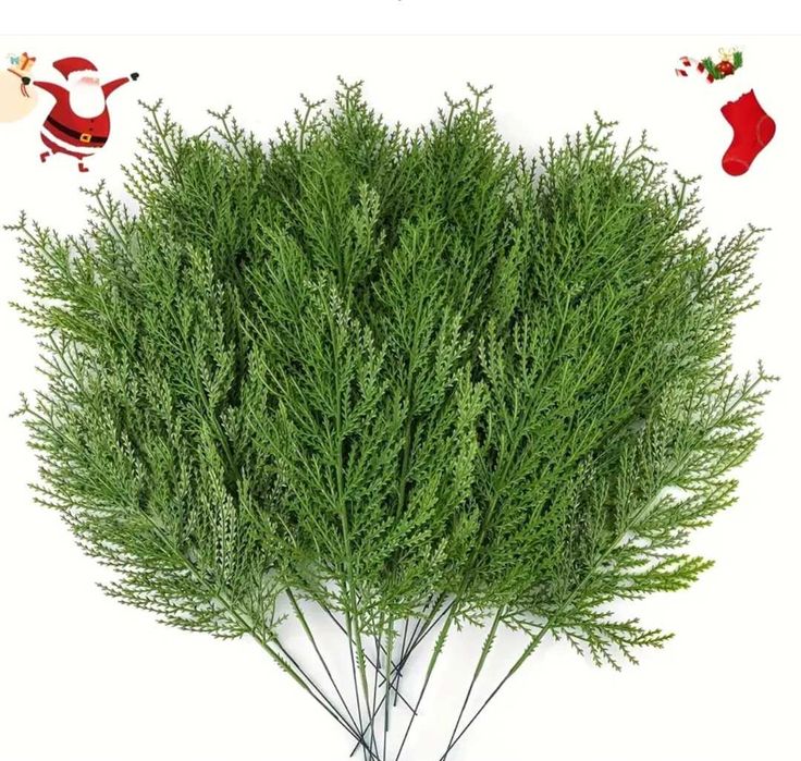 Ramos realistas de pinheiro