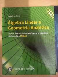 Álgebra Linear e Geometria Analítica para Engenharia em Aveiro