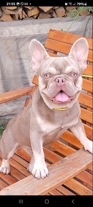 Молодий шикарний красень