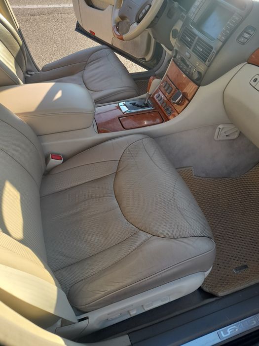 Продам "японського кабана"