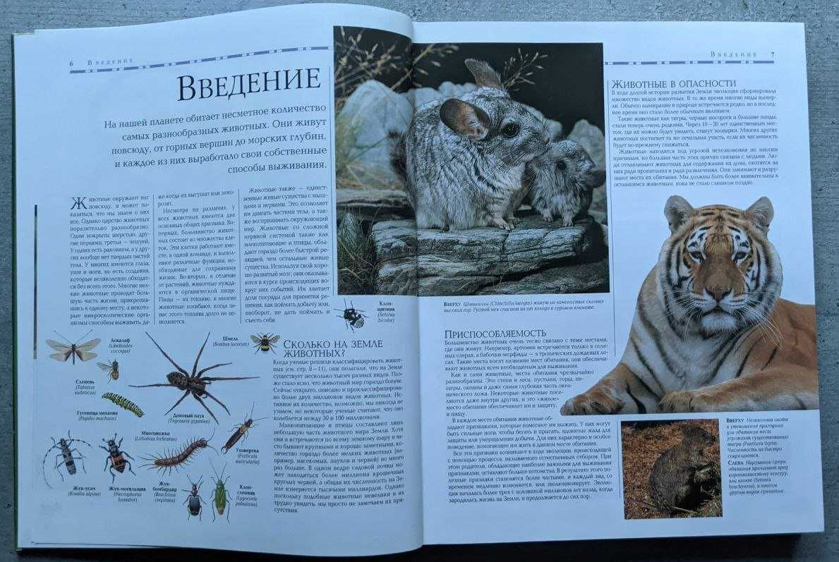 Девид Берни Иллюстрированная энциклопедия Животные